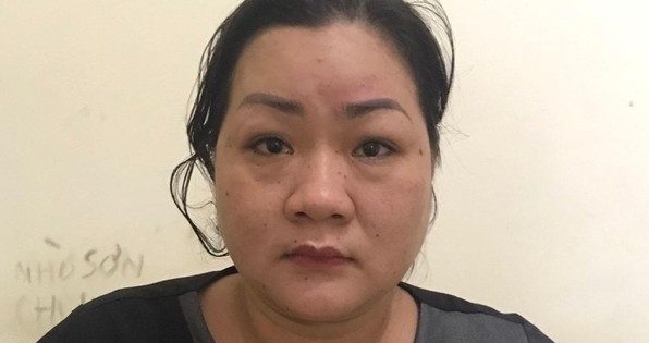 Triệt phá đường dây mang thai hộ giữa Hà Hội với giá khoảng 400 triệu đồng