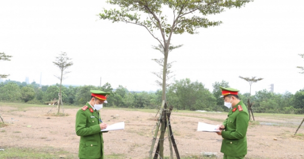 Triệu tập nhóm đối tượng chặt phá cây xanh đô thị