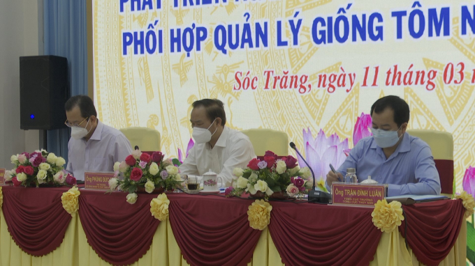 11.3- Phung Duc Tien - trai