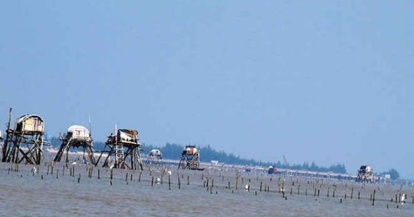 Công an Hải Phòng điều tra vụ thi thể bị trói vào tảng đá ở bãi ngao