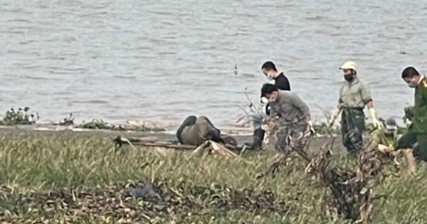 Hải Phòng: Danh tính người đàn ông bị trói tay, chân buộc vào tảng đá thả xuống biển đã được xác định