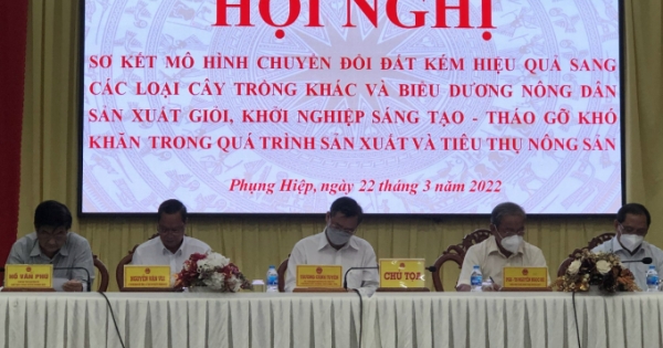 Huyện Phụng Hiệp mạnh dạn thay đổi cây trồng hiệu quả và giá trị cao