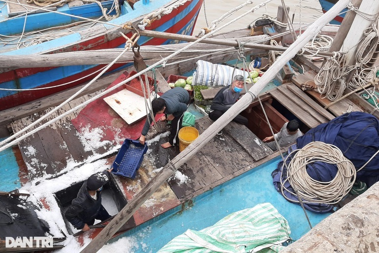 Một số phương tiện ra khơi nhưng cũng chỉ thuê được 7-8 lao động (Ảnh: T.T).