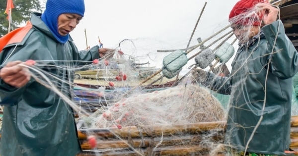 Giữa mùa biển lặng: Chủ tàu tại Thanh Hoá "đỏ mắt" tìm lao động ra khơi