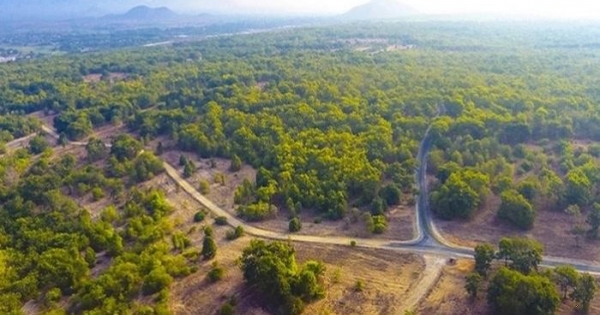 Xử phạt công ty Rạng Đông gần 600 triệu đồng vì tự ý chuyển mục đích sử dụng đất