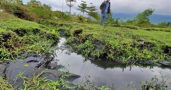 “Mạnh tay” xử lý doanh nghiệp xả thải ra môi trường