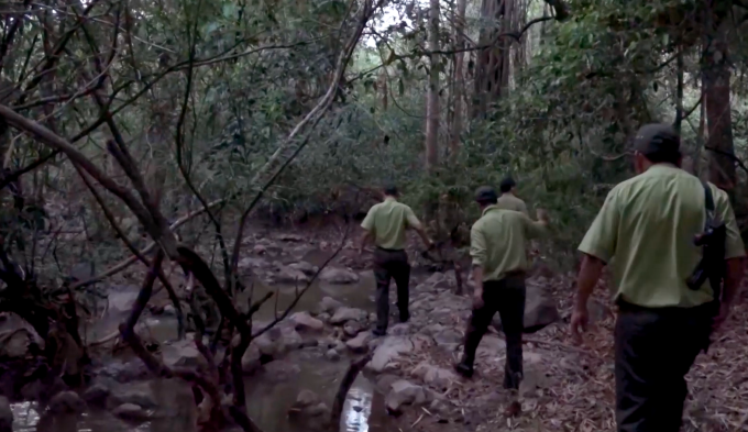 Lực lượng giữ rừng tăng cường tuần tra để bảo vệ rừng.