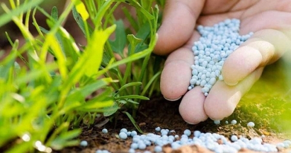 53 doanh nghiệp cung cấp phân bón kém chất lượng bị xử phạt