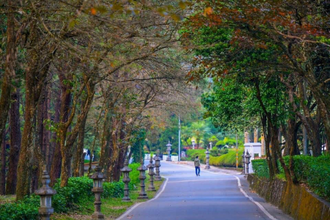 Ba Vì hứa hẹn sẽ có nhiều sản phẩm làm hài lòng nhiều đối tượng khách hàng, nhất là chăm sóc sức khỏe sau dịch.