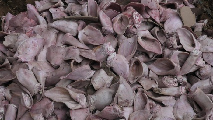 tai1-16779904138592114283483