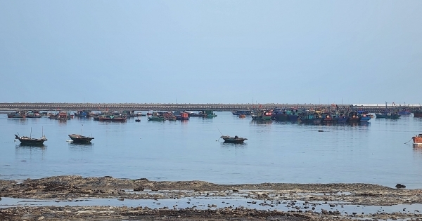 Hải Phòng: Huyện đảo Bạch Long Vỹ phát triển toàn diện, vững chắc