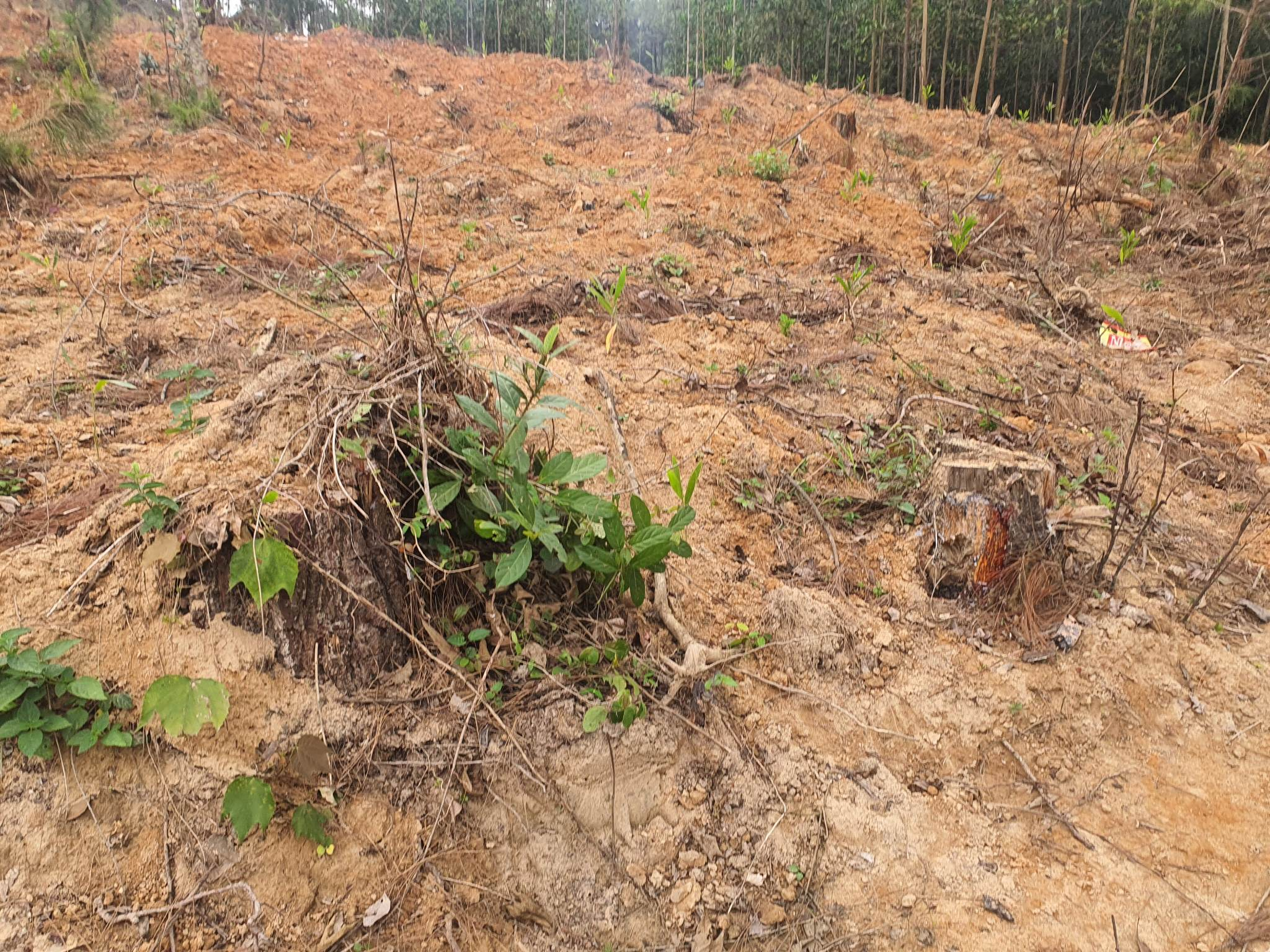 331314221_2421034641407256_7988516010279839519_n