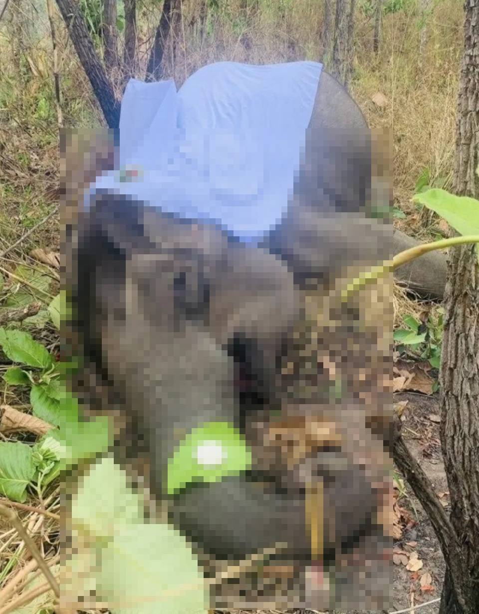 screenshot_20230327-184758_bo-mi-1920 (1)