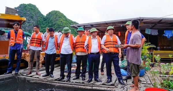 Hải Phòng: Phê bình Chủ tịch UBND huyện Cát Hải vì chậm triển khai đề án nuôi trồng thủy sản trên vịnh