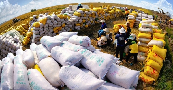 Bộ Công thương ra khuyến nghị về xuất khẩu gạo sang thị trường Indonesia