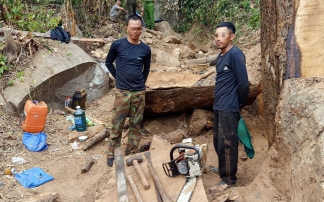 Kon Tum: Bắt quả tang 2 đối tượng khai th&aacute;c gỗ tr&aacute;i ph&eacute;p