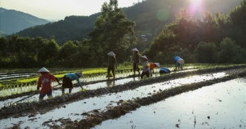 Quảng Ninh thông qua nghị quyết nâng mức chuẩn nghèo đa chiều
