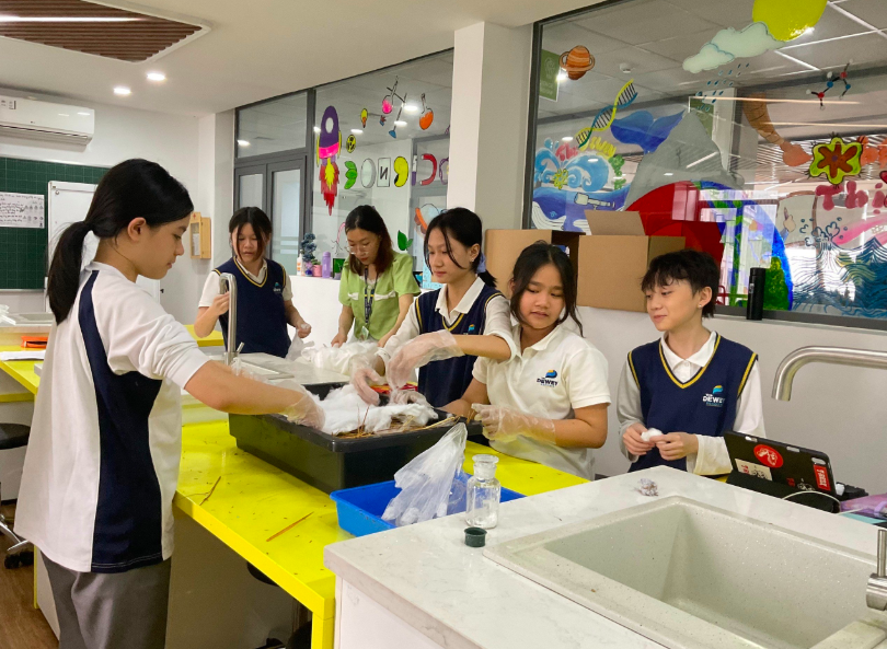 Học sinh quan sát nấm trưởng thành mỗi ngày