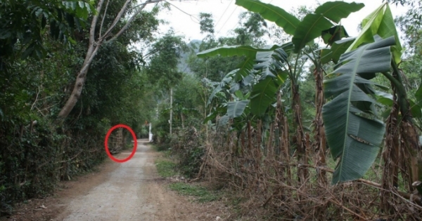 Quảng Bình: Kế toán trường học chết bất thường với nhiều vết đâm