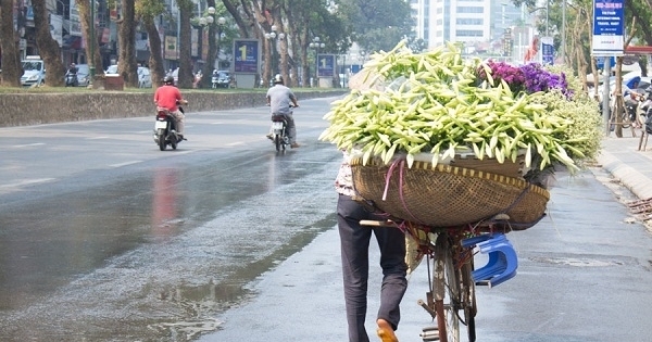 Loa kèn gọi tháng tư về