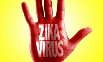 Hai trường hợp nhiễm vi rút Zika đều do muỗi đốt