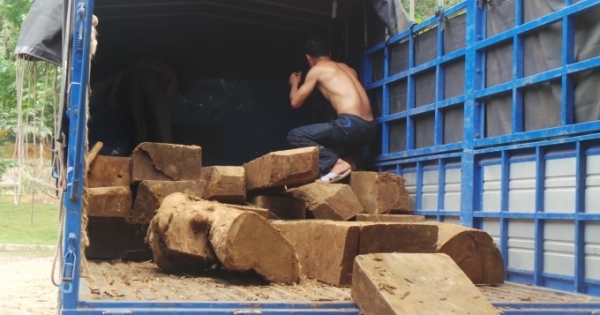 Xe tải chở 5m3 gỗ không rõ nguồn gốc trót lọt qua nhiều trạm kiểm lâm?