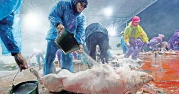 Từ 1/7 sẽ bỏ tù 20 năm người sản xuất - kinh doanh chất cấm