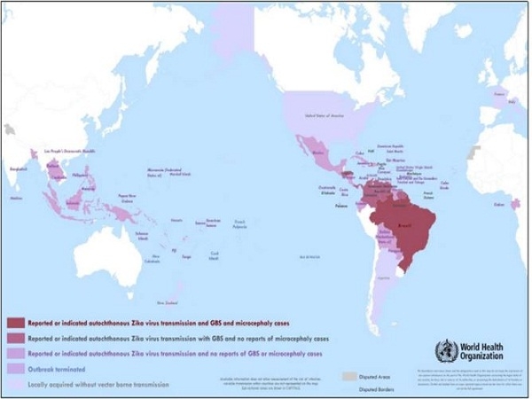 Việt Nam đ&atilde; xuất hiện 2 ca nhiễm virus Zika. Ảnh minh họa.