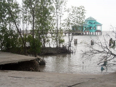 Năm 2100: Mũi Cà Mau “biến mất”?