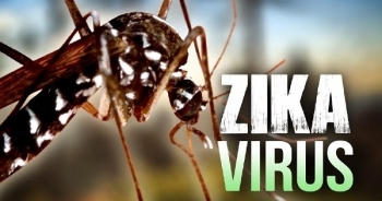 Nên làm gì khi nghi nhiễm virus Zika?