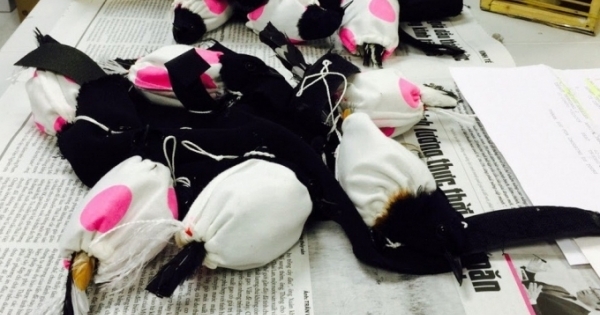 TP HCM: Giấu chim quý trong quần để vận chuyển ra nước ngoài