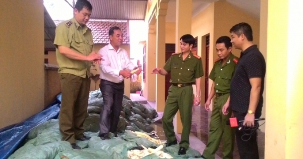 Kinh hoàng hàng tấn măng tươi được ủ bằng lưu huỳnh