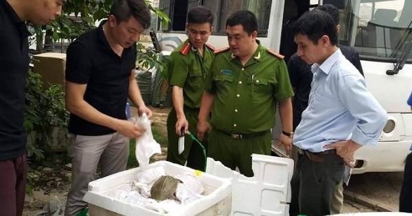 Hà Nội: Tóm gọn hơn 1,2 tấn ba ba Trung Quốc nhập lậu