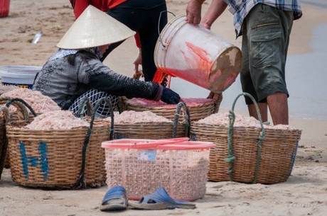 Vụ nghi nhuộm ruốc ở Ph&uacute; Y&ecirc;n: C&oacute; chất độc g&acirc;y ung thư!