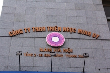 Kết quả Thanh tra tại Công ty TNHH Thiên Ngọc Minh Uy