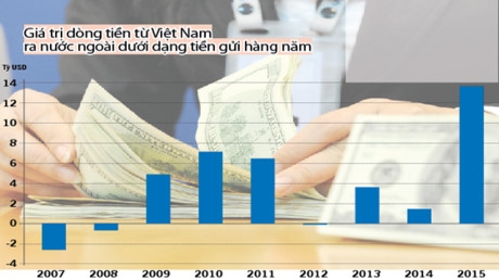 Nguồn iMf (2007 - 2011) v&agrave; NHNN (2012 - 2015).