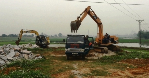 Đừng để "quýt làm cam chịu"