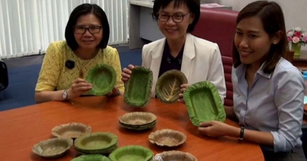 Người Thái phát minh ra chiếc bát làm từ lá cây, thay thế cho hộp đựng thức ăn bằng xốp độc hại