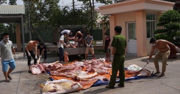 Bình Dương: Bắt giữ gần 2 tấn thịt heo bẩn chuẩn bị đi lên bàn ăn