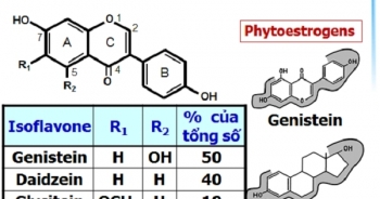 Nói tinh chất mầm đậu nành gây ung thư là phản khoa học