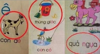 Những lỗi sai "điên rồ" trong sách giáo khoa Tiểu học