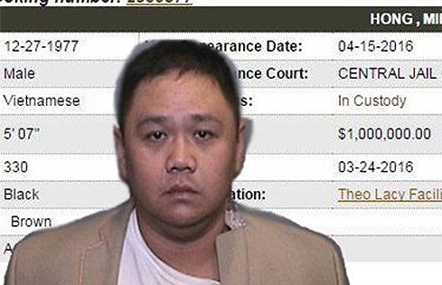 Nếu ở Việt Nam, Minh Béo bị xử tội gì?