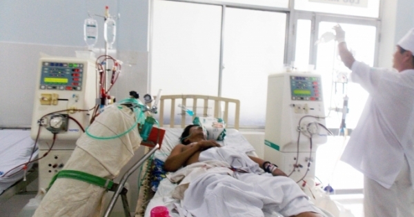 Ăn bọ rầy, 1 người chết, 2 người nguy kịch