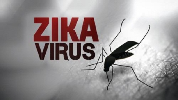 Kh&aacute;nh H&ograve;a v&agrave; TP HCM c&ocirc;ng bố hết dịch do virus Zika. Ảnh: minh họa