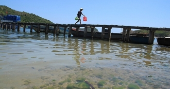 Triển lãm nghệ thuật “Ấn tượng miền Trung”