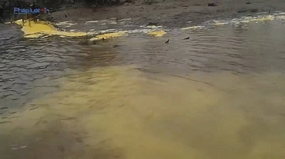 Thái Bình: Cá tôm sông Diêm Hộ bị tận diệt vì nguồn nước ô nhiễm nặng, dân kêu cứu khẩn cấp