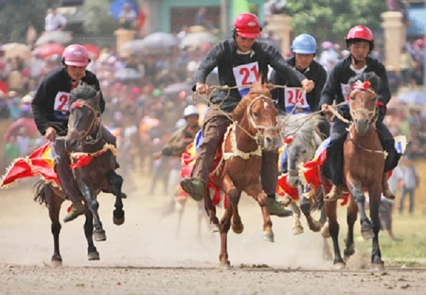 Giải đua ngựa truyền thống ở Bắc H&agrave;, L&agrave;o Cai được tổ chức v&agrave;o th&aacute;ng 6.