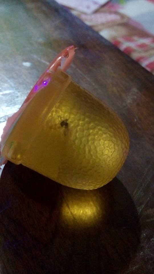 Đại diện c&ocirc;ng ty TNHH đ&atilde; x&aacute;c nhận chiếc thạch n&agrave;y l&agrave; sản phẩm do c&ocirc;ng ty sản xuất v&agrave; ph&acirc;n phối.