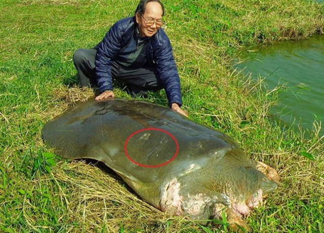 Bức ảnh kỷ niệm của PGS H&agrave; Đ&igrave;nh Đức b&ecirc;n c&aacute; thể r&ugrave;a Hồ Gươm. Ảnh: TL.