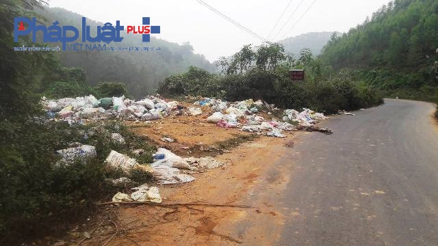 Bao tải r&aacute;ch, x&aacute;c lợn nằm ngay tr&ecirc;n đường g&acirc;y m&ugrave;i kh&oacute; chịu (Ảnh Đ&agrave;o Tấn)